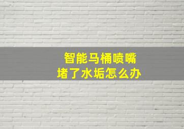 智能马桶喷嘴堵了水垢怎么办