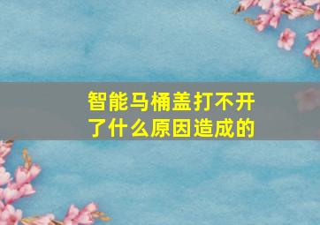 智能马桶盖打不开了什么原因造成的