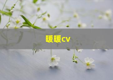 暖暖cv