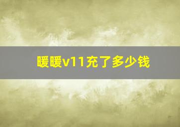 暖暖v11充了多少钱