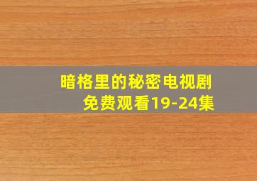 暗格里的秘密电视剧免费观看19-24集