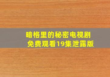 暗格里的秘密电视剧免费观看19集泄露版