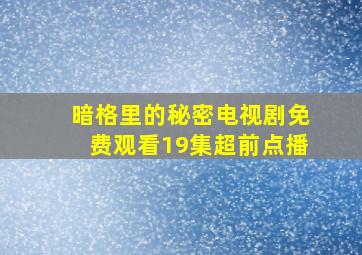 暗格里的秘密电视剧免费观看19集超前点播