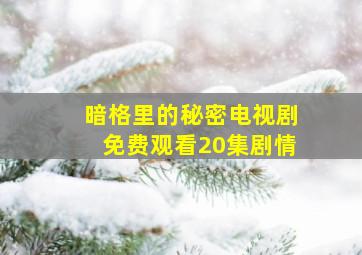 暗格里的秘密电视剧免费观看20集剧情