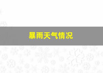 暴雨天气情况