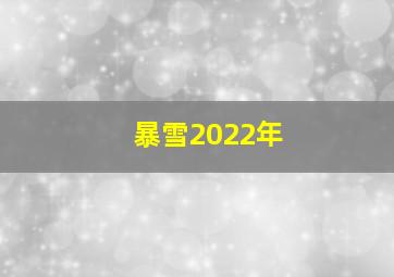 暴雪2022年