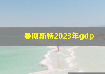 曼彻斯特2023年gdp