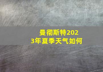 曼彻斯特2023年夏季天气如何