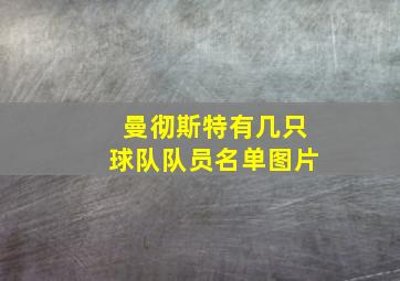 曼彻斯特有几只球队队员名单图片