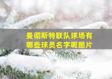 曼彻斯特联队球场有哪些球员名字呢图片