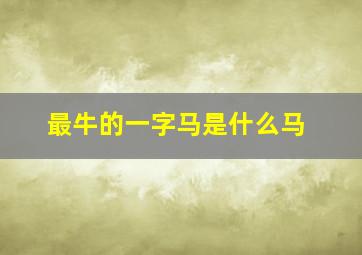 最牛的一字马是什么马