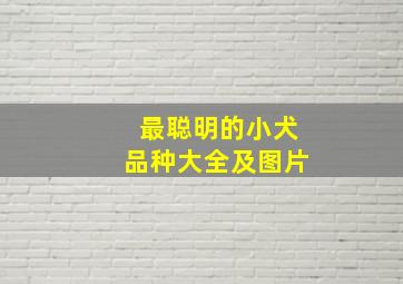 最聪明的小犬品种大全及图片