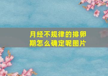 月经不规律的排卵期怎么确定呢图片