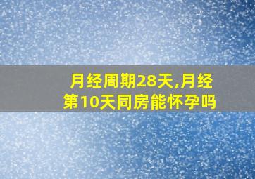 月经周期28天,月经第10天同房能怀孕吗