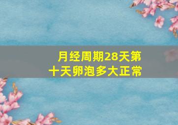 月经周期28天第十天卵泡多大正常