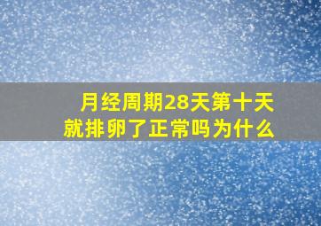 月经周期28天第十天就排卵了正常吗为什么