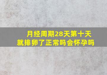 月经周期28天第十天就排卵了正常吗会怀孕吗