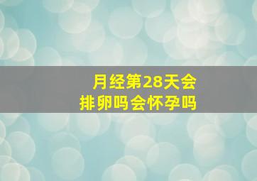 月经第28天会排卵吗会怀孕吗