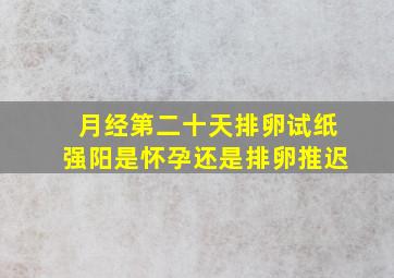 月经第二十天排卵试纸强阳是怀孕还是排卵推迟