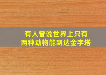 有人曾说世界上只有两种动物能到达金字塔