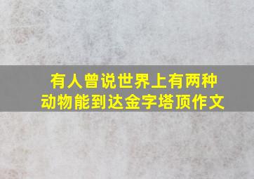 有人曾说世界上有两种动物能到达金字塔顶作文