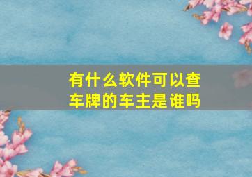 有什么软件可以查车牌的车主是谁吗