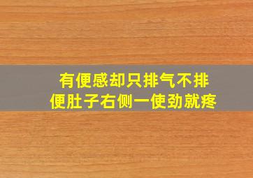 有便感却只排气不排便肚子右侧一使劲就疼