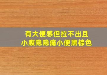 有大便感但拉不出且小腹隐隐痛小便黑棕色