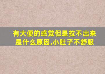 有大便的感觉但是拉不出来是什么原因,小肚子不舒服