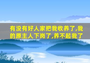 有没有好人家把我收养了,我的原主人下岗了,养不起我了