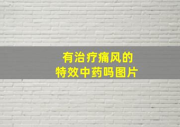 有治疗痛风的特效中药吗图片