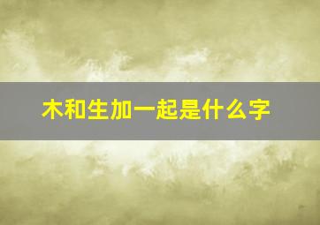 木和生加一起是什么字