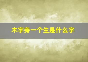 木字旁一个生是什么字