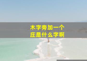 木字旁加一个庄是什么字啊