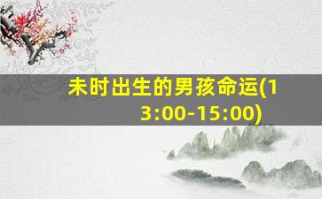 未时出生的男孩命运(13:00-15:00)