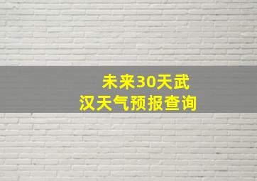 未来30天武汉天气预报查询