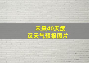 未来40天武汉天气预报图片