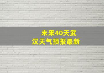 未来40天武汉天气预报最新