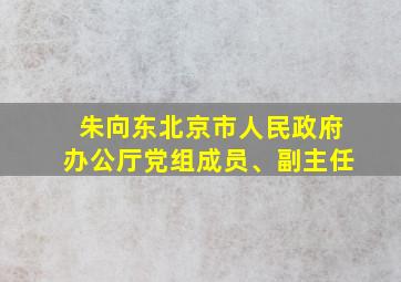 朱向东北京市人民政府办公厅党组成员、副主任