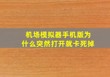 机场模拟器手机版为什么突然打开就卡死掉