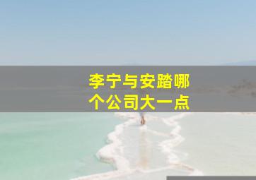 李宁与安踏哪个公司大一点