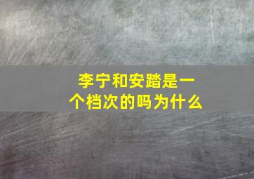 李宁和安踏是一个档次的吗为什么