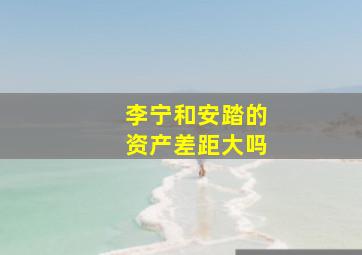 李宁和安踏的资产差距大吗