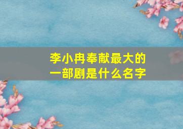 李小冉奉献最大的一部剧是什么名字