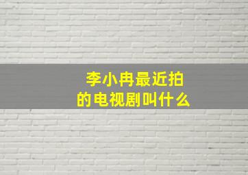 李小冉最近拍的电视剧叫什么