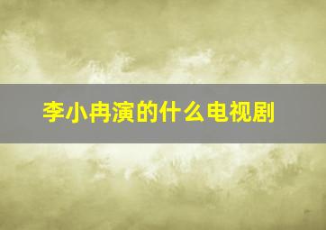 李小冉演的什么电视剧