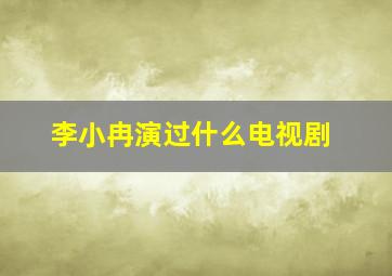 李小冉演过什么电视剧