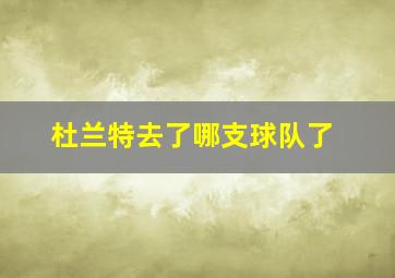 杜兰特去了哪支球队了