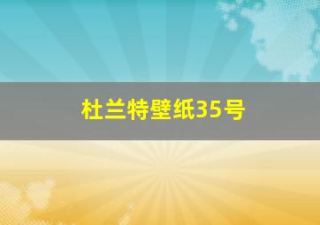 杜兰特壁纸35号