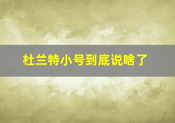 杜兰特小号到底说啥了